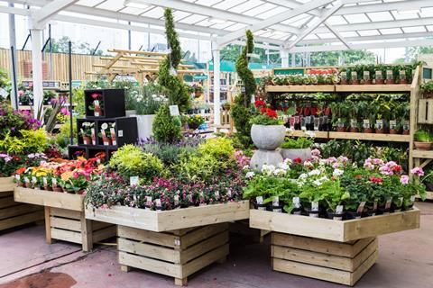The new look garden department now features wooden fixtures, lower levels, and more displays and is being rolled out to 40 of Homebase’s 323 stores.